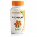 PROPOLIS - 120 gél. - Défenses, Hiver - MGD Nature