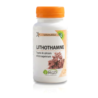 LITHOTHAMNE - maintien ossature normale - 120 gel.  MGD Nature