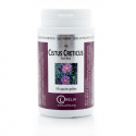 CISTUS CRETICUS - Défenses Naturelles Antiviral - 100 Gél. - IRELIA
