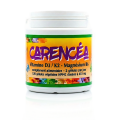 CARENCEA - 120 gélules - Équilibre Nutritionnel et Vitalité - Jade Recherche