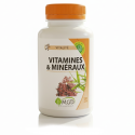 VITAMINES ET MINÉRAUX - 120 gél. - Convalescence, Vitalité quotidienne - MGD NATURE