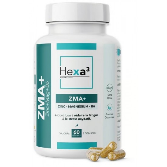 ZMA+ ZINC MAGNÉSIUM B6 - 60 gél - Récupération - Hexa3