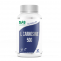 L-CARNOSINE 500 mg - 30 comprimés - Antioxydant et Anti-âge - SFB