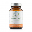 RHODIOLA ROSEA - Stress, Fatigue & Performance - Planticinal
