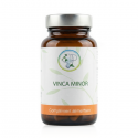 VINCA MINOR - Mémoire & Circulation Cérébrale - Planticinal