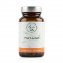 VINCA MINOR - Mémoire & Circulation Cérébrale - Planticinal