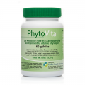 PHYTOVITAL - Énergie et Équilibre - 60 Gél. - Perfect Health Solutions