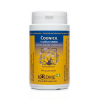 COGNICIL Mémoire et facultés cognitives - 90gélules Botavie