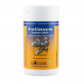 DYNHORMONE - 60 gélules Équilibre du Système Hormonal - Botavie