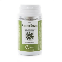 Feuilles d'Olivier - irelia- infinie santé