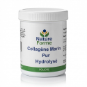 COLLAGÈNE MARIN PUR - Peau et Articulations - 500 g - Nature forme