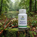 PYGEUM AFRICANUM - Confort Urinaire Masculin - 90gél - Nature forme