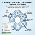 ZÉOLITHE CLINOPTILOLITE - Détox, piège à toxines - 250 g - Nature forme