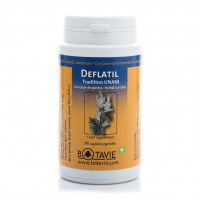 DEFLATIL - Confort Digestif et Légèreté - 90 gél. - BOTAVIE