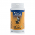 DEFLATIL 90 - Confort Digestif et Légèreté -  - BOTAVIE