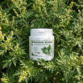 ARTEMISIA ANNUA - Protection et Équilibre - 180 gél. - BAOBAB