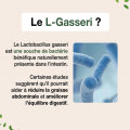 LACTOBACILLUS Gasseri - 200 milliards - SFB