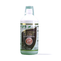 OLIVITAL ACTIVE Purifiez votre organisme - 500ml - SFB