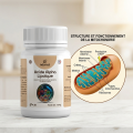 ACIDE ALPHA LIPOÏQUE - Antioxydant Universel & Énergie - Néo-Nat