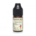 ARTEMISIA ANNUA Teinture Mère - Protection brousse et hiver - BAOBAB