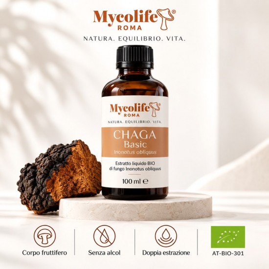 BASIC CHAGA 100 ml - Antioxydant - Mycolife