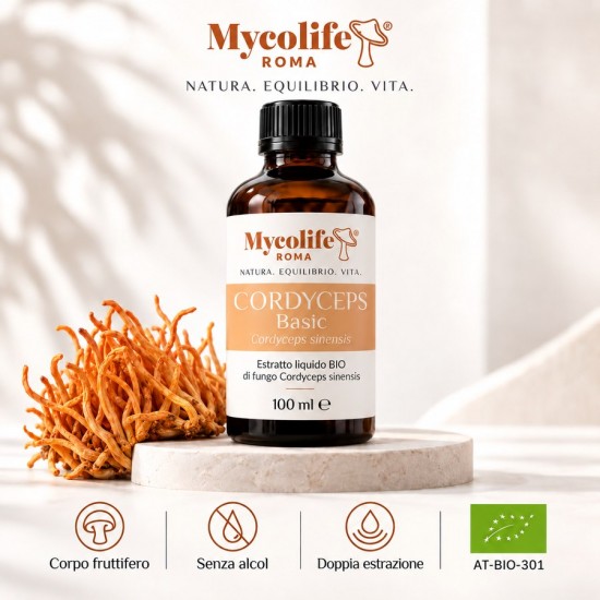 BASIC CORDYCEPS 100 ml - Énergie - Mycolife