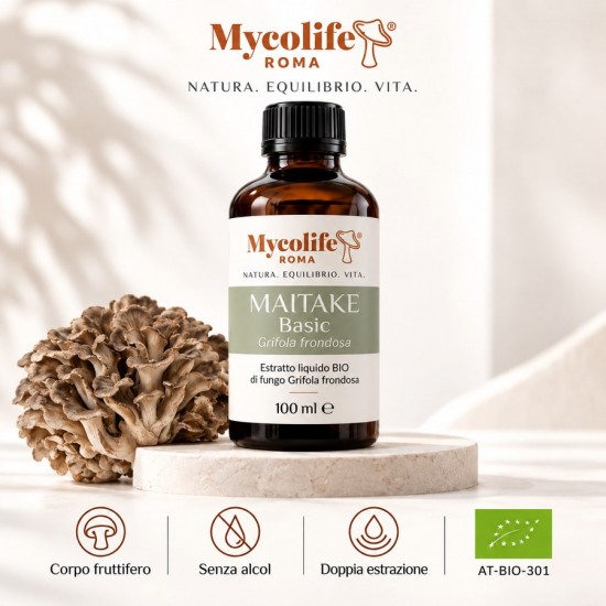 BASIC MAITAKE 100 ml - Vitalité - Mycolife