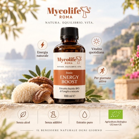 MYCOLIFE ENERGY BOOST FORMULE 100 ml - Énergie