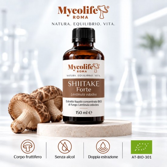 FORTE SHIITAKE 150 ml - Défenses - Mycolife