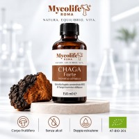 FORTE CHAGA 150 ml - Antioxydant - Mycolife