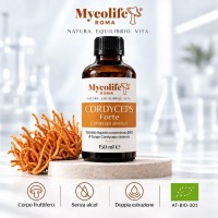 FORTE CORDYCEPS 150 ml - Énergie - Mycolife