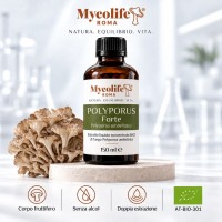 FORTE POLYPORUS UMBELLATUS 150 ml - Équilibre - Mycolife