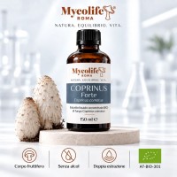 FORTE COPRINUS COMATUS 150 ml - Équilibre - Mycolife