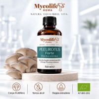 FORTE PLEUROTUS OSTREATUS 150 ml - Équilibre - Mycolife