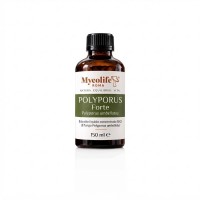 FORTE POLYPORUS UMBELLATUS 150 ml - Équilibre - Mycolife