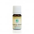 EUCALYPTUS GLOBULUS - 5ml Huile essentielle bio - Abiessence