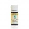 EUCALYPTUS RADIATA - 10ml Huile essentielle bio - Abiessence