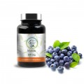 Myrtille - Bilberry 100 mg - Planticinal