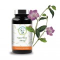 Vinca minor 300mg - Planticinal