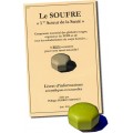 Galet de Soufre Deucalion + Livret