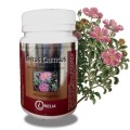 Cistus Creticus - Irelia 100 capsules