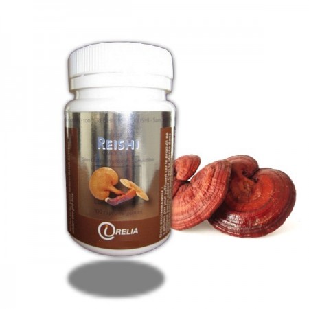 REISHI - GANODERMA - Irelia - infinie SantÃ©