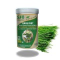 ORGE VERT JEUNES POUSSES  - SFB 