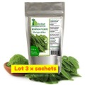 Moringa 300 gr poudre - lot de 3 sachets- Baobab