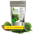 Moringa 300 gr poudre Énergie, stress et insomnie - lot de 3 sachets- Baobab