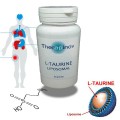 L-TAURINE Immunité, protection cellulaire puissante - Therapinov