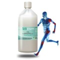 SILICIUM - Usure du cartilage - Perfect Health Solutions