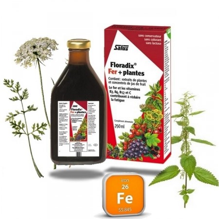 FLORADIX FER + PLANTES Salus 250 ml
