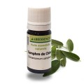 CAMPHRE DE CHINE - 5ml Huile essentielle bio - Abiessence