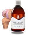 Cartilyon catalyons